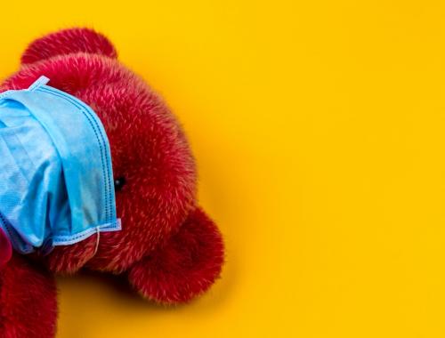 Ours en peluche
