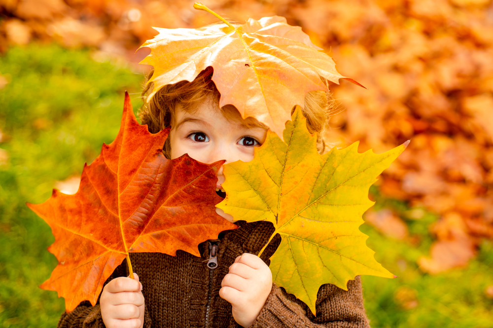 Il existe de multiples activités à faire avec bébé et l'enfant à l'automne.