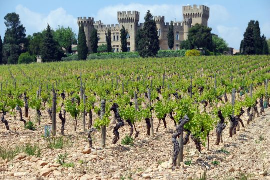 vins Côtes du Rhône