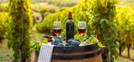 vins Bourgogne