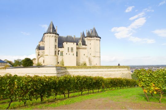 vins Loire