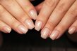 formation prothesie ongulaire premium plus