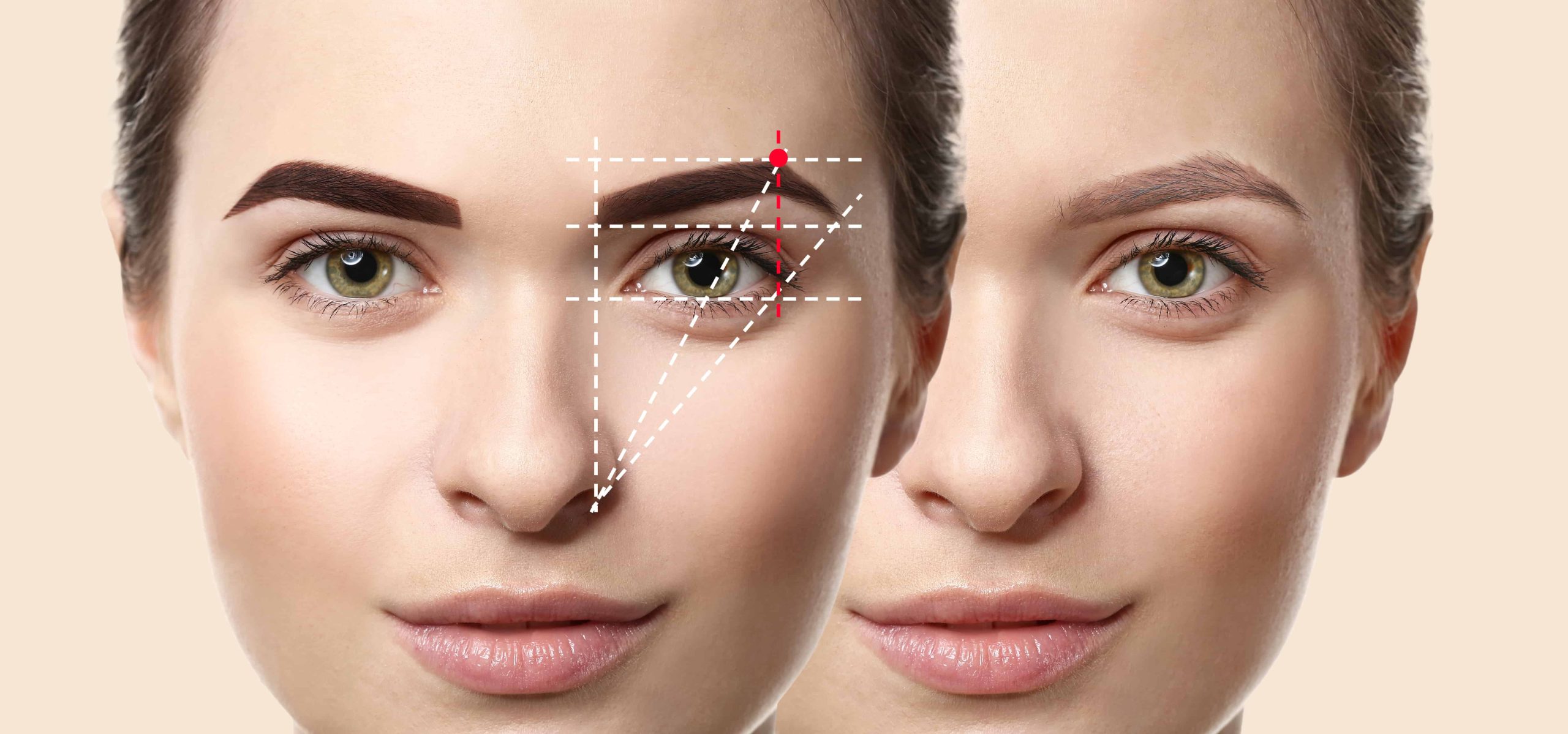 forme sourcils selon visage