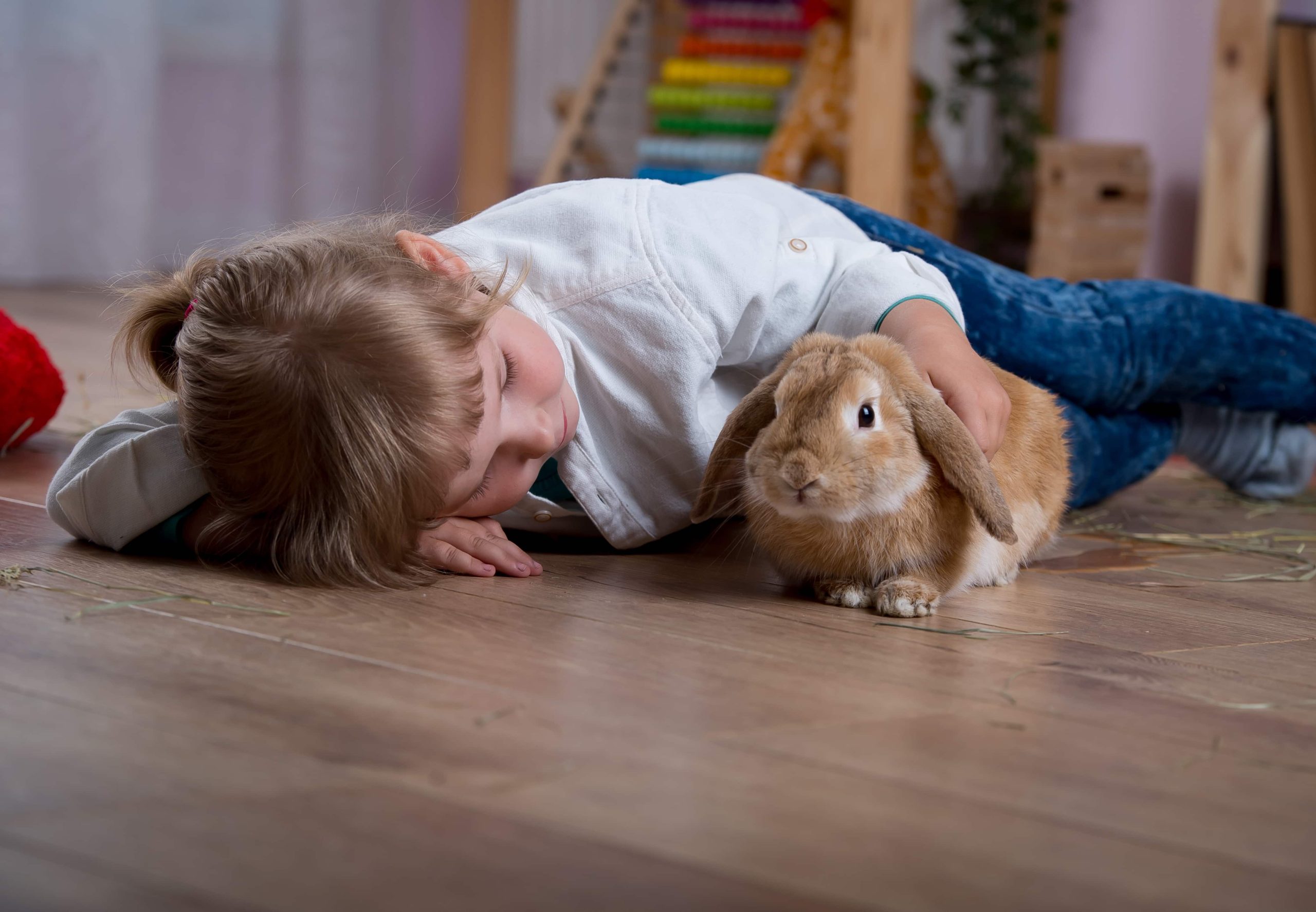 médiation animale en crèche